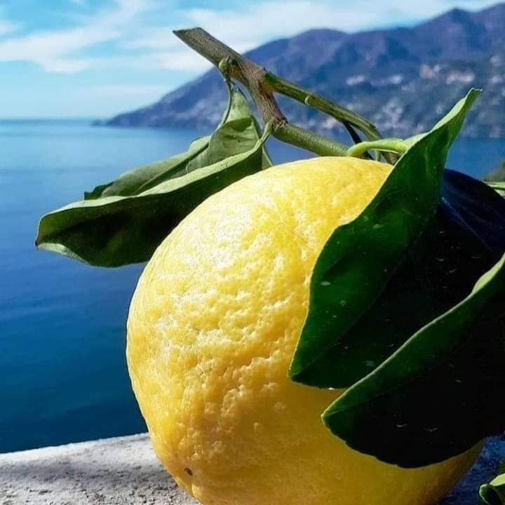 Sicilia Bedda Isolotto Apartment *